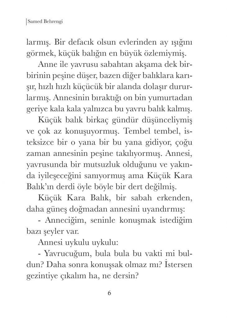 Küçük Kara Balık resmi